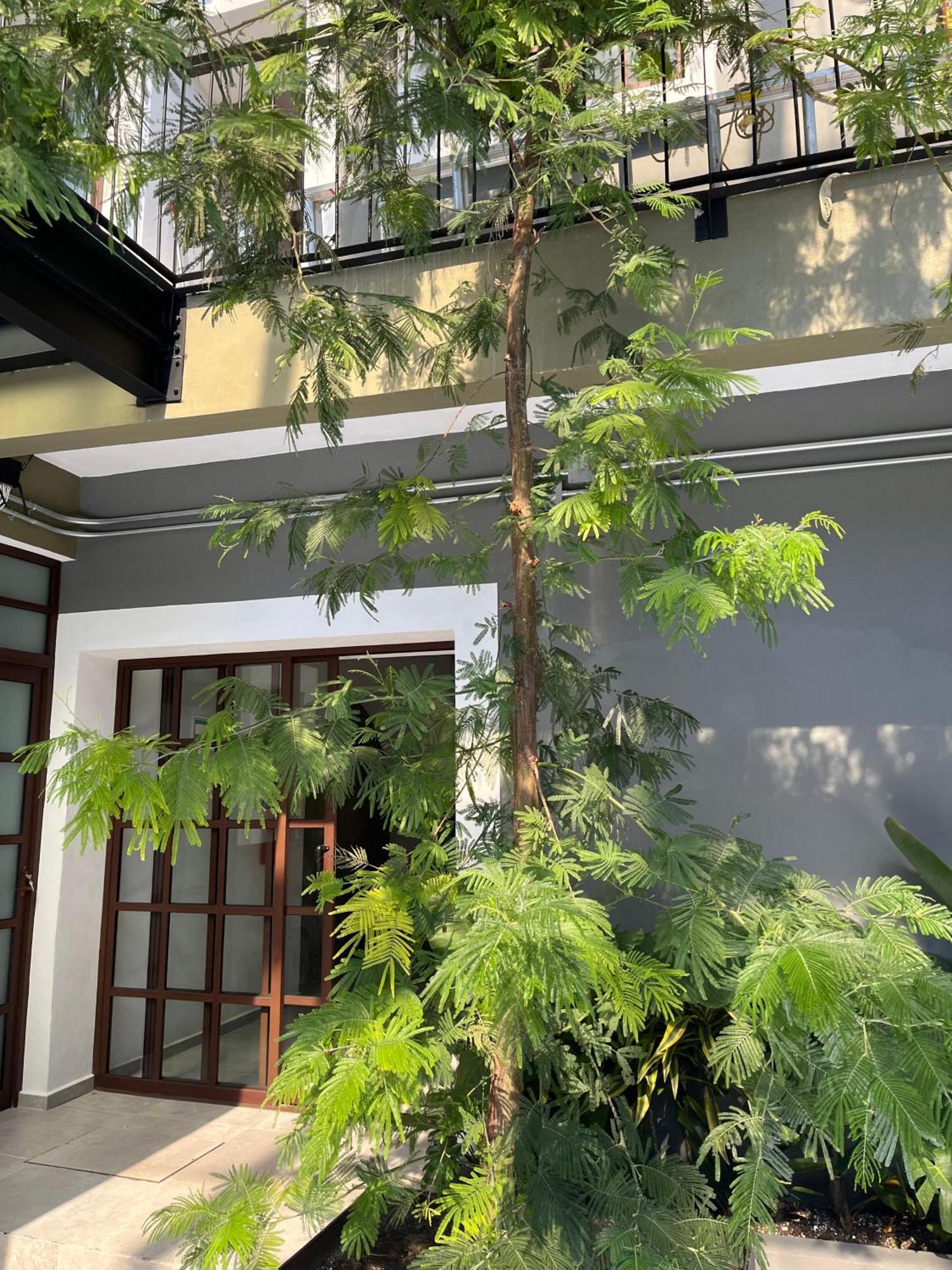 Eonia Hotel Atlixco Kültér fotó